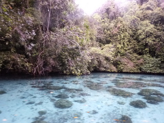 P1010546.JPG