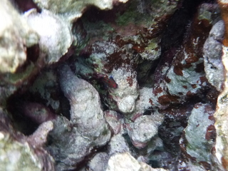 P1010578.JPG