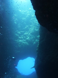 P1010603.jpg