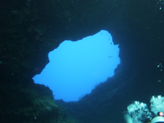 P1010606.JPG