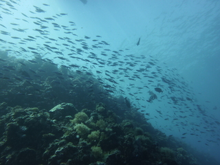 P1010612.JPG