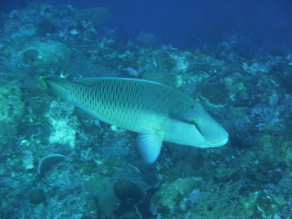 P1010614.JPG